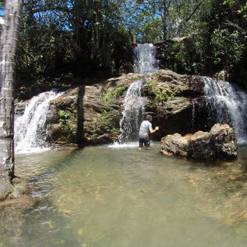 Biodivercidade do Cerrado Brasileiro