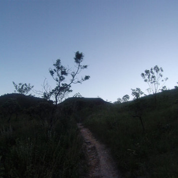 Survival Run Brazil