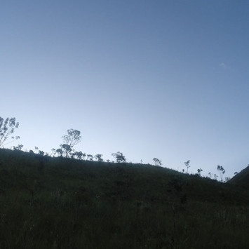 Survival Run Brazil