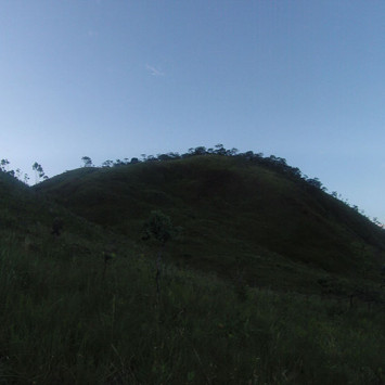 Survival Run Brazil
