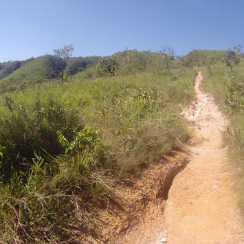 Survival Run Brazil