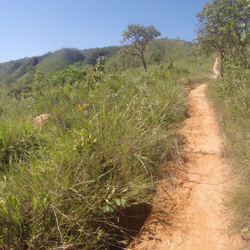 Survival Run Brazil